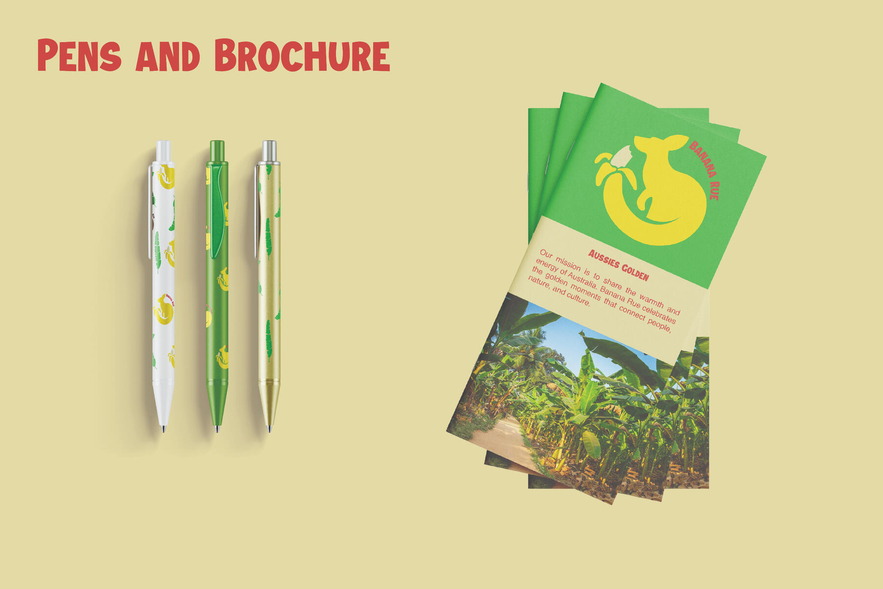 Brochure